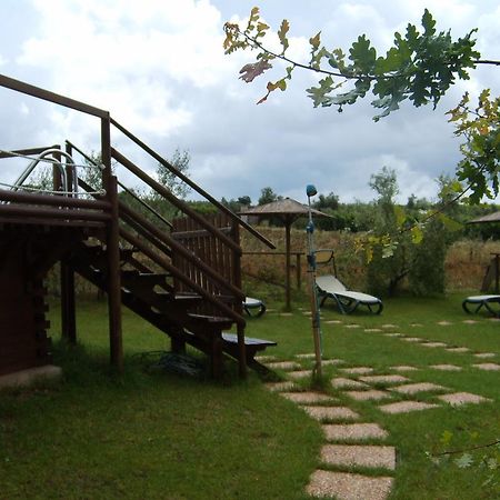Agriturismo Il Forasacco Гроссето Екстер'єр фото
