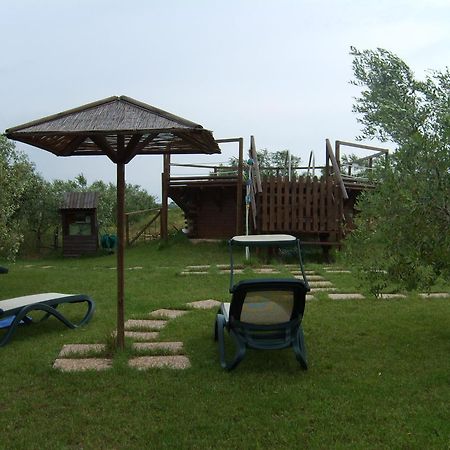 Agriturismo Il Forasacco Гроссето Екстер'єр фото