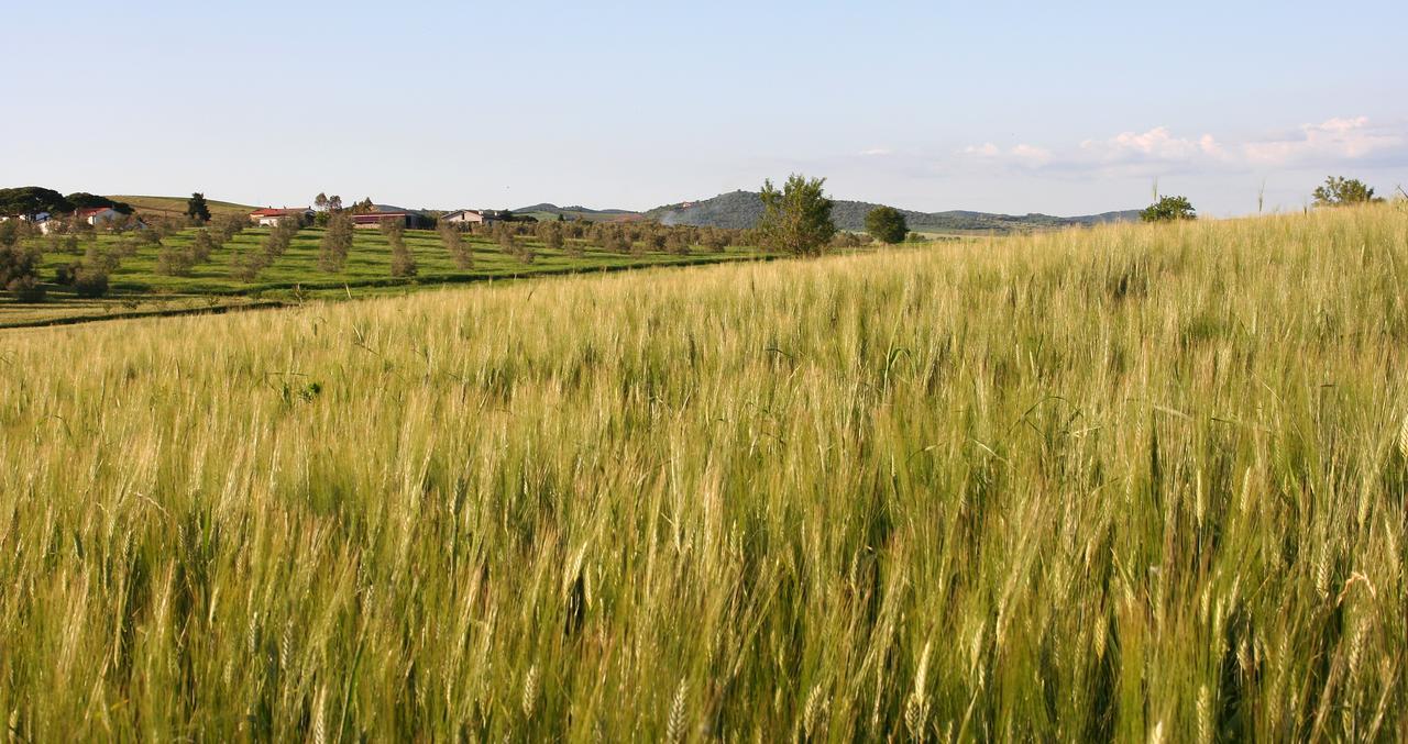 Agriturismo Il Forasacco Гроссето Екстер'єр фото